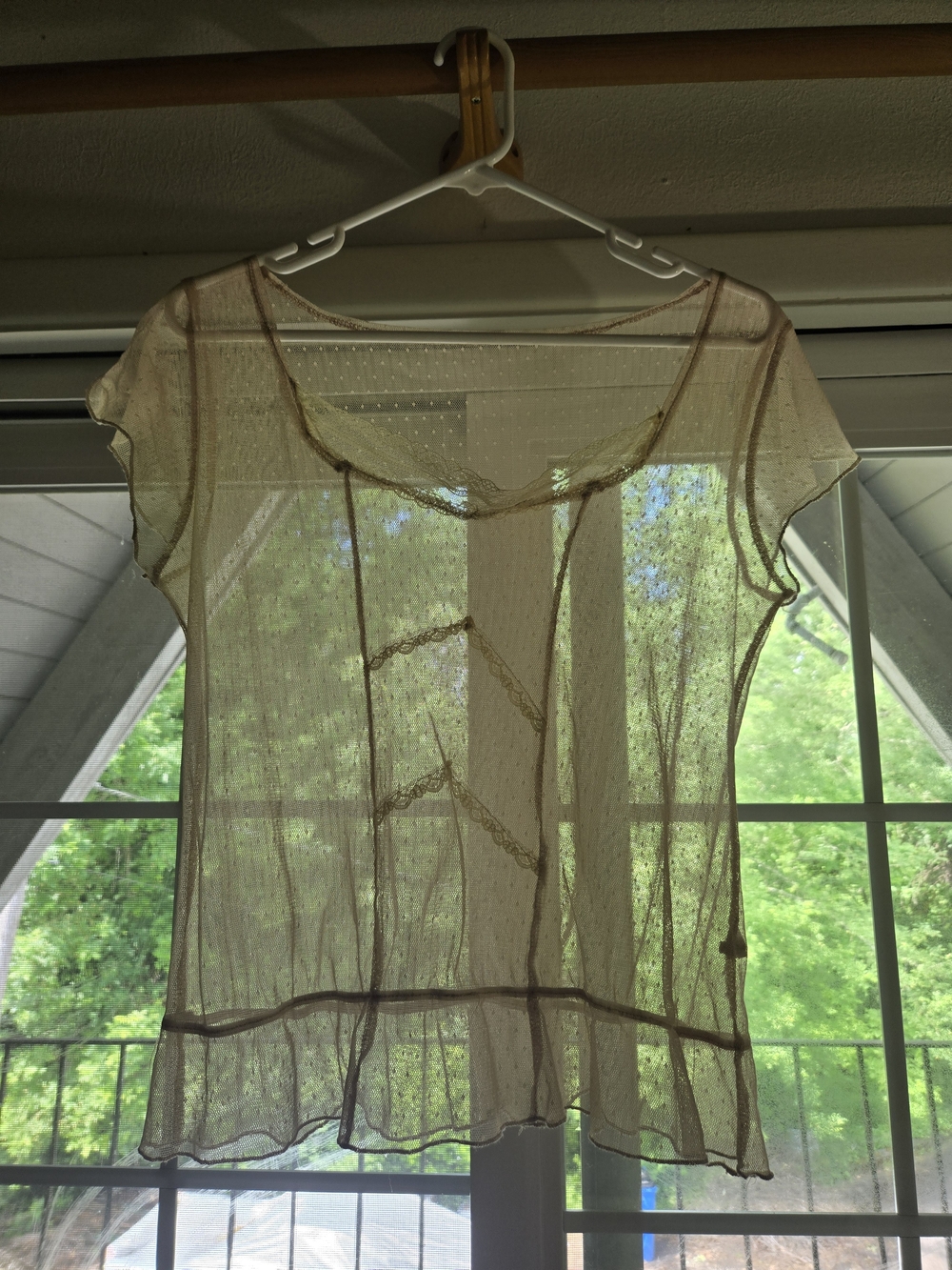 🍰 Sheer Taupe Lace-Trim Cap Sleeve Top M/L - Picture 2 of 11